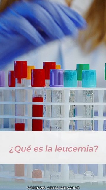 Identificar síntomas frecuentes de leucemia puede ser clave para un diagnóstico oportuno. Nuestro equipo especializado está comprometido con tu bienestar y te ofrece un cuidado cercano, incluyendo apoyo emocional durante todo el proceso.

No ignores las señales de tu cuerpo. Consulta con nuestros especialistas y recibe un tratamiento adaptado a tus necesidades.

📌 Sucursal Guadalajara: Olmecas 847, Monraz, 44670: maps.app.goo.gl/L8RRupBwXAvyU5ZDA
📲 wa.me/+3338086574
📞333 642 2939 o 333 641 5081

📌 Sucursal Ajijic: Hidalgo 23, Local 9, Col. San Antonio Tlacayán: maps.app.goo.gl/rFpC3JZcxFJbyfBt8
📲 wa.me/+3331084084
📞 33 3108 4084