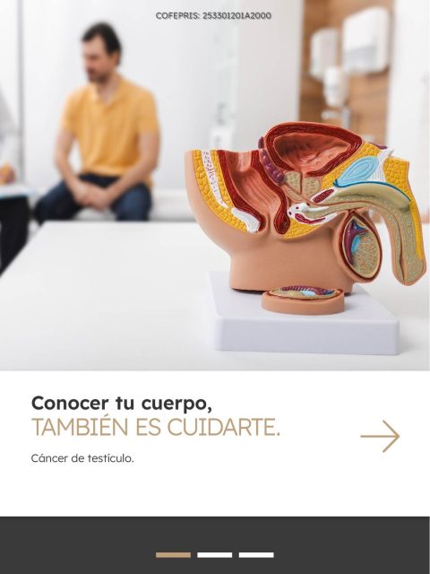 Si notas algún cambio o tienes dudas, consulta con un especialista.

Contáctanos vía WhatsApp: wa.me/+3338086574 

📌 Sucursal Guadalajara:
Olmecas 847, Monraz, 44670: maps.app.goo.gl/L8RRupBwXAvyU5ZDA
📞333 642 2939 o 333 641 5081

📌 Sucursal Ajijic:
Hidalgo 23, Local 9, Col. San Antonio Tlacayán: maps.app.goo.gl/rFpC3JZcxFJbyfBt8
📞376 688 8430