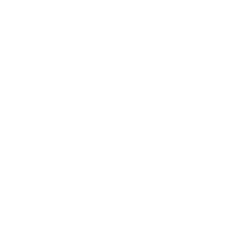 Icono Wellness