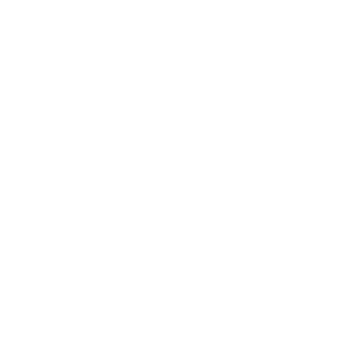 Icono Wellness