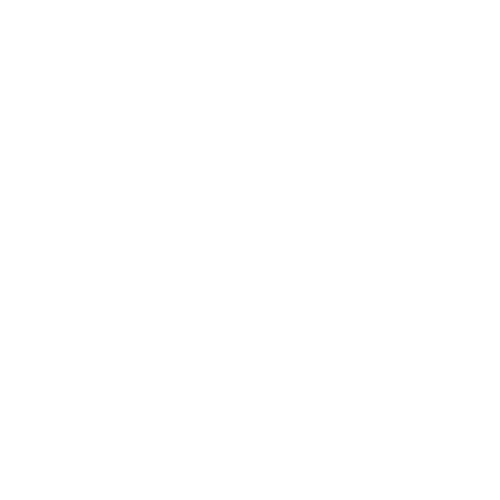 Icono Wellness